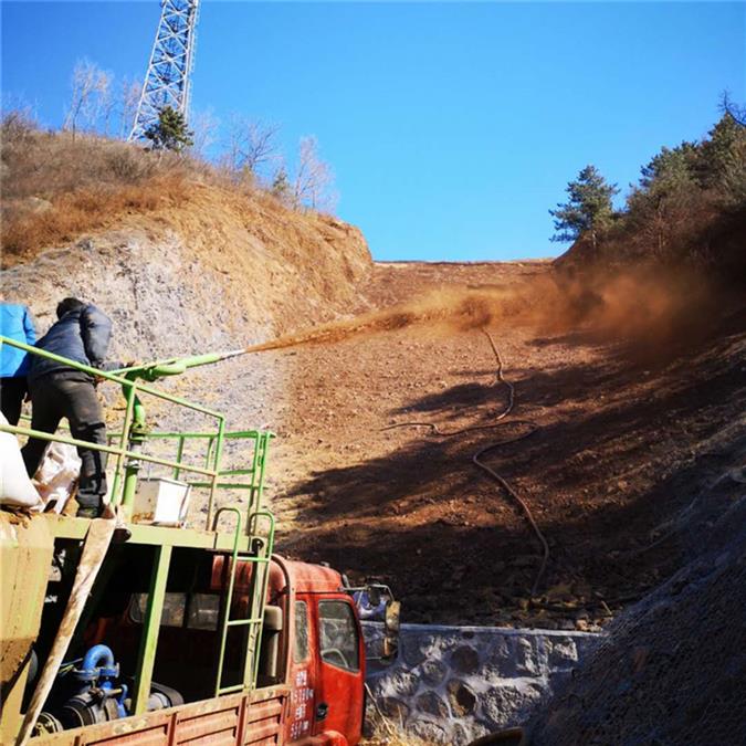 廠家長期承接客土噴播 掛網噴漿 掛網植草 瑞迪