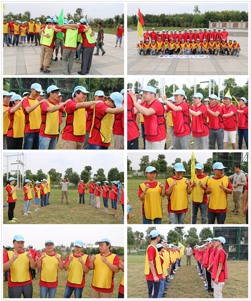 “我为家乡添绿荫”团体专场圆满收官 团队携手共建桥畔转角公园