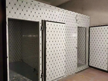 琼中黎族苗族自治县老牌的低温实验箱