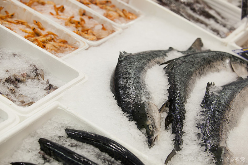 孟加拉冻鱼肉代理进口报关公司排行榜