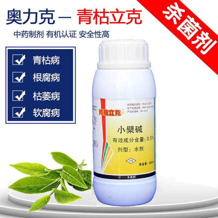 西红柿细菌性溃疡图片