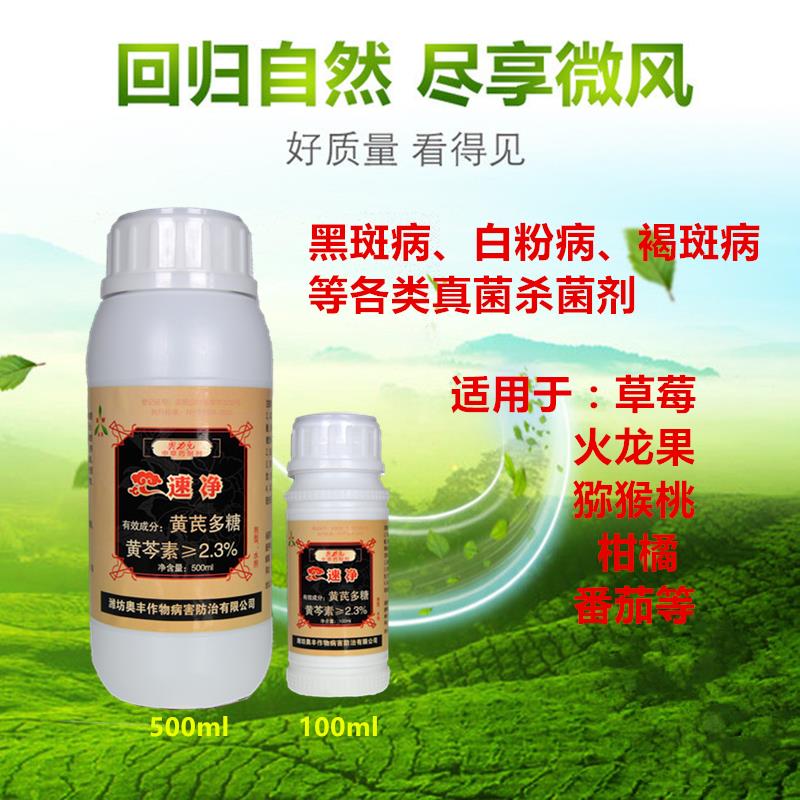 海南黄瓜炭疽病专用药速净报价