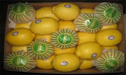 成都冷冻水果进口清关冷冻水果进口报关公司