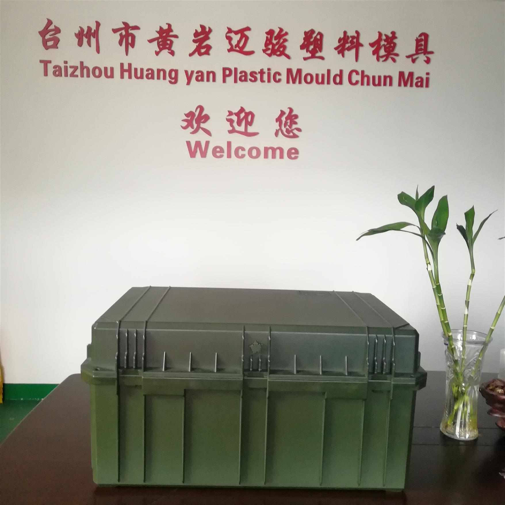 小型安全防护箱模具厂