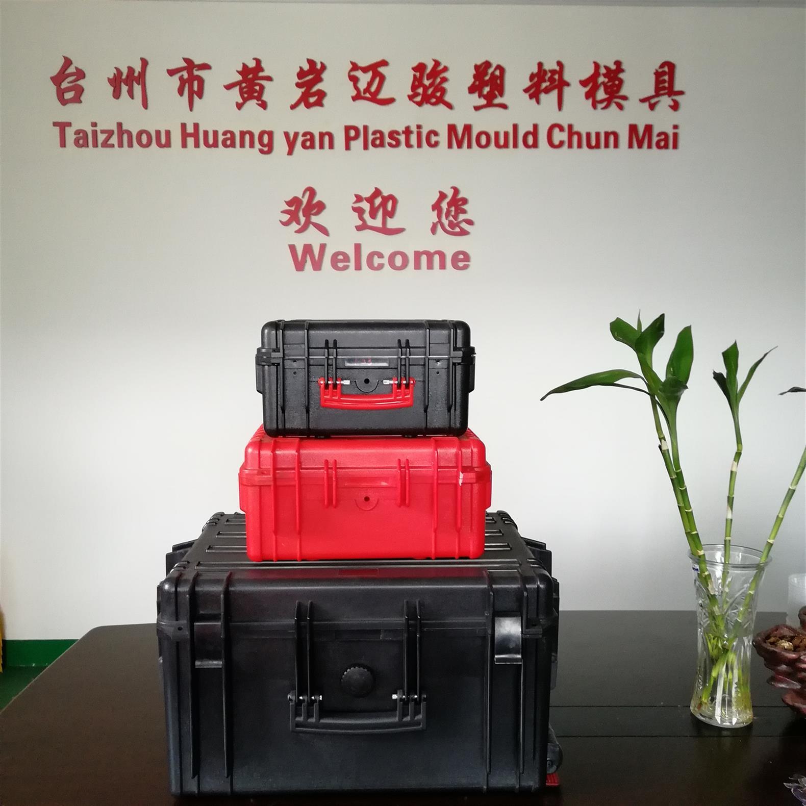 密封防护箱模具制造厂家