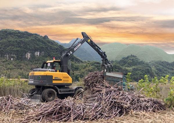 清**售抓木机价格