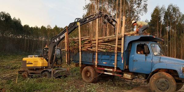 崇左销售抓木机价格