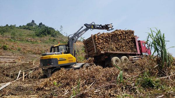 吉林销售抓木机价格