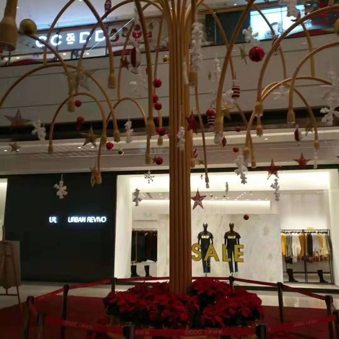 许昌泡泡树