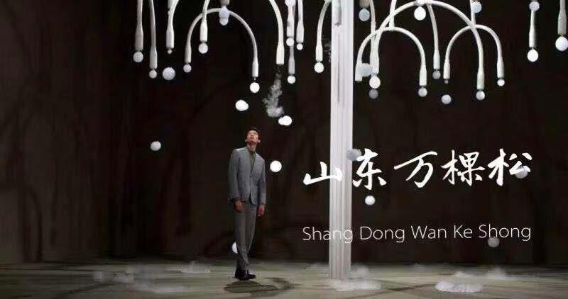 东莞迷你泡泡树