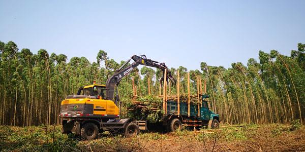 珠海夹木机生产厂家