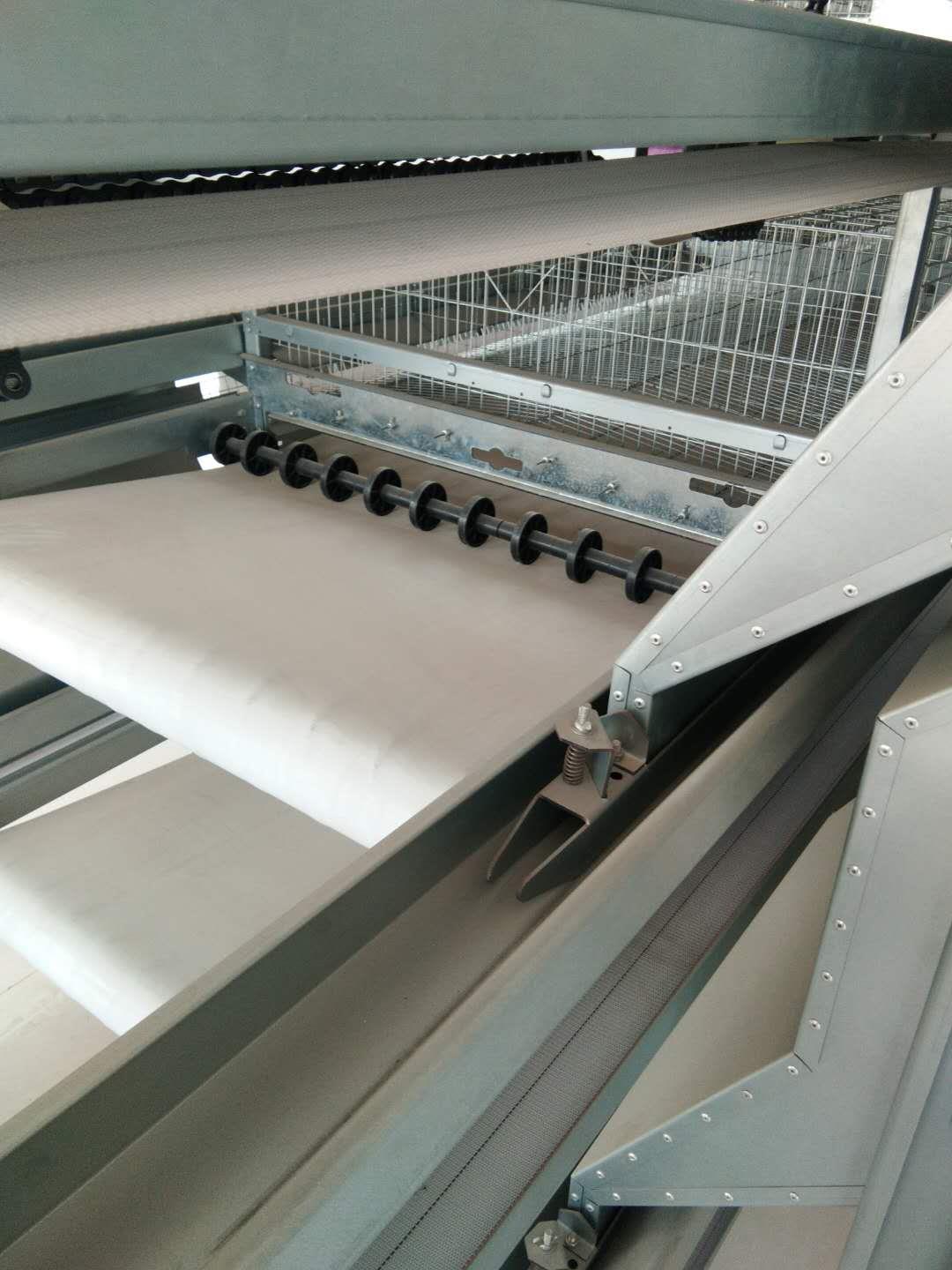 全自动鸡笼设备什么牌子好使用寿命长