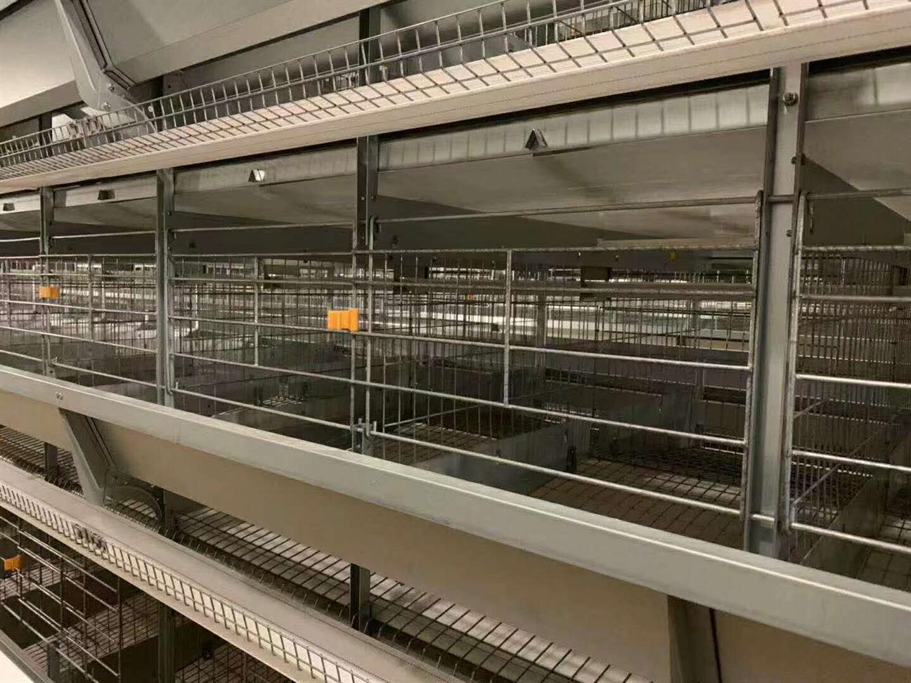 全套产品采用热镀锌或冷镀锌工艺,使用寿命长;鸡笼隔网和底网加密
