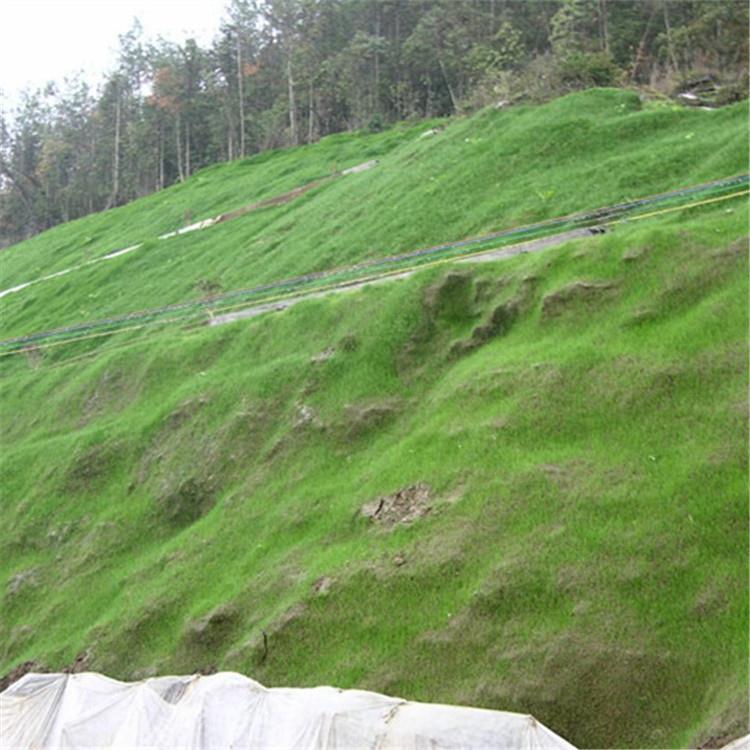 鞍山高次团粒喷播施工费用