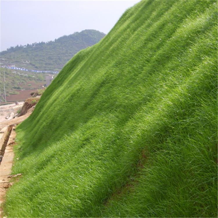 鞍山高次团粒喷播施工费用