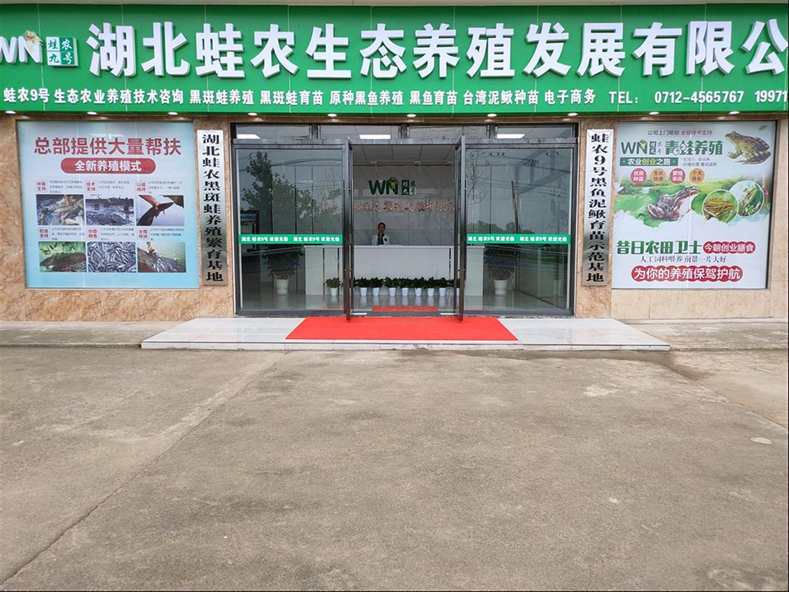 天津青蛙 养殖基地