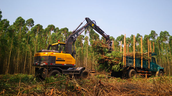 广东装木头挖掘机