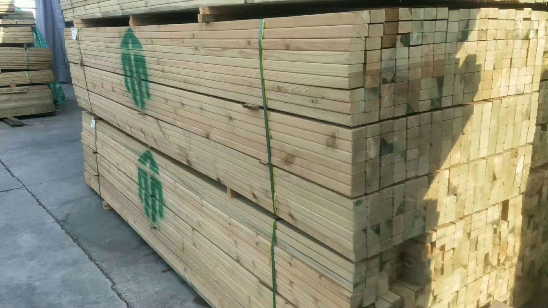 樟子松源头工厂