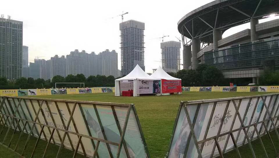 石家庄企业路演巡展策划