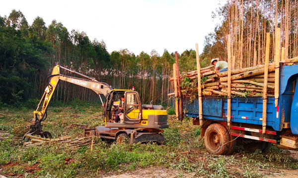 钦州全新挖掘机抓木机型号