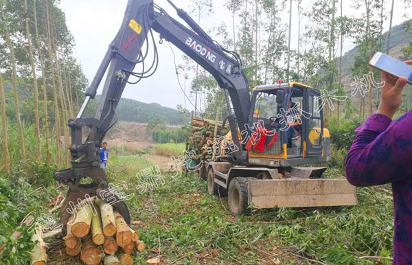 珠海抓机销售价格