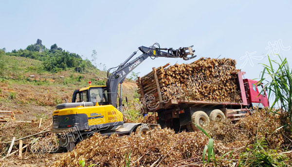 江西抓机哪里有卖