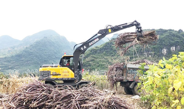 百色全新广西抓木机厂家