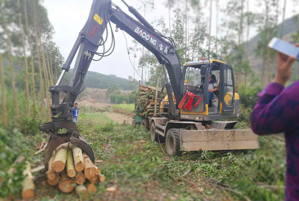 湖南轮胎抓木机