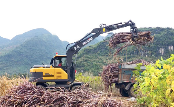 黑龙江轮胎抓木机