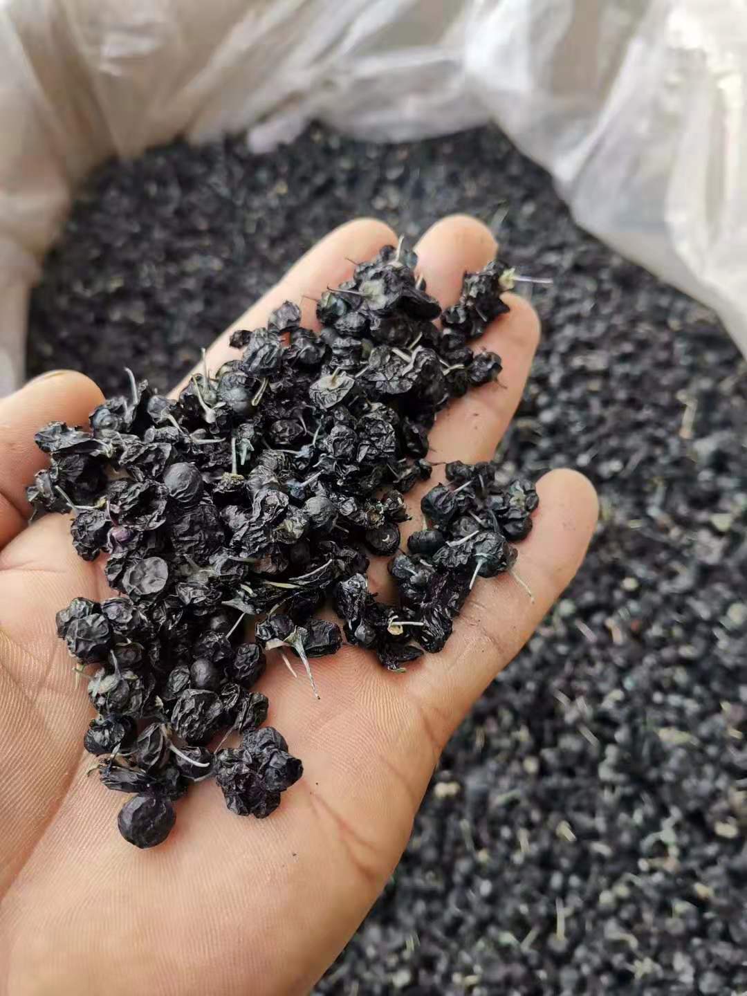 正品黑枸杞供货商