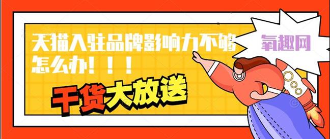 网店运营 天猫入驻